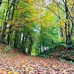 Διαμέρισμα Eifel Refugium Huebsch