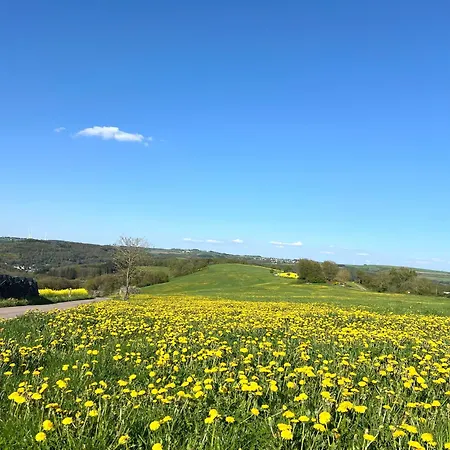 Apartmán Eifel Refugium Huebsch *