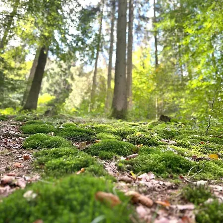 Eifel Refugium Huebsch Apartmán *