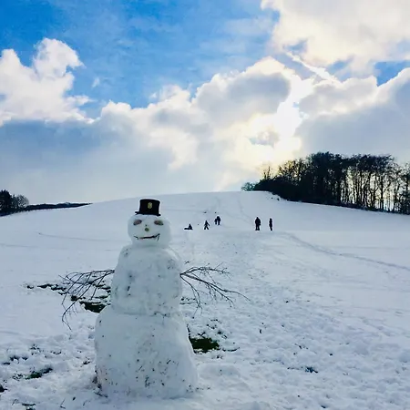 Eifel Refugium Huebsch Appartement *