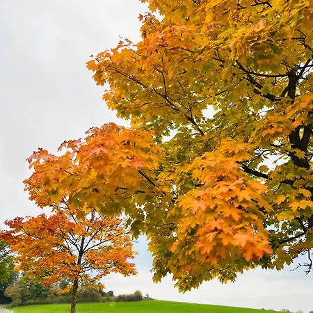 Eifel Refugium Huebsch Apartmán *