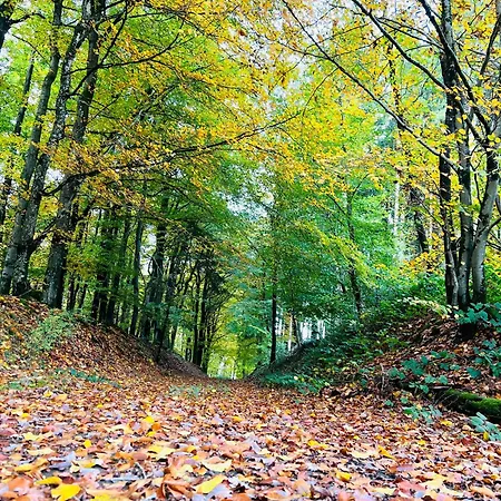 Apartmán Eifel Refugium Huebsch