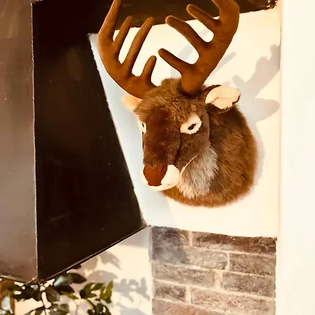 Apartmán Eifel Refugium Huebsch