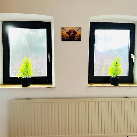 Eifel Refugium Huebsch Lejlighed