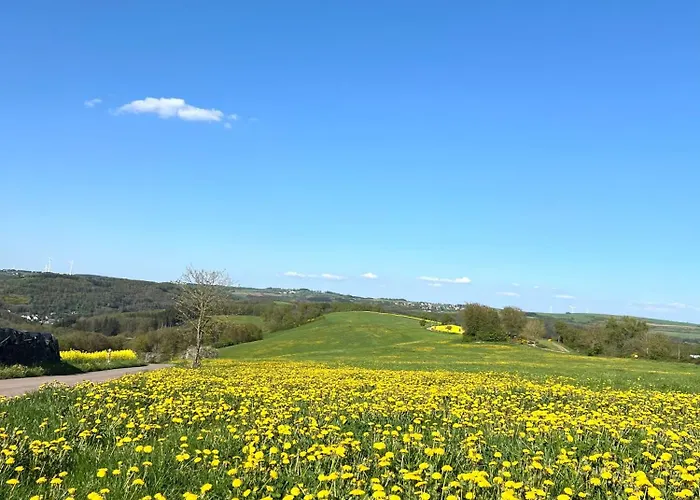 דירה Eifel Refugium Huebsch *