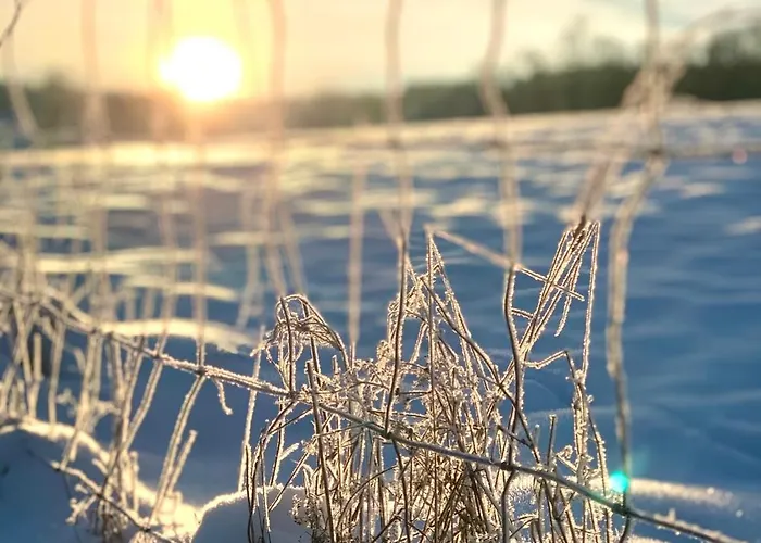 Eifel Refugium Huebsch *