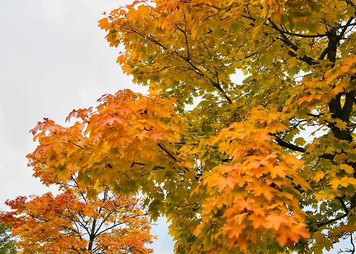 Eifel Refugium Huebsch דירה *