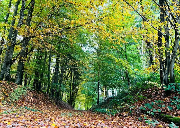 Apartamento Eifel Refugium Hübsch