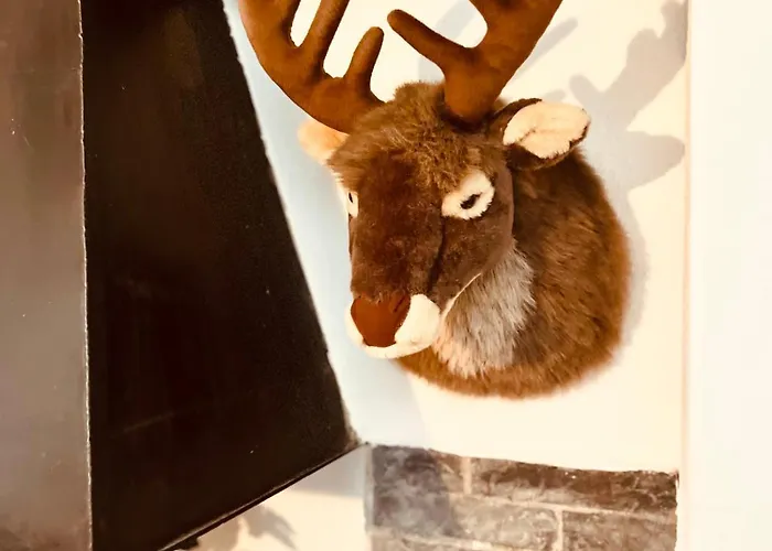 Apartamento Eifel Refugium Hübsch